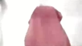Красива зряла кучка  ...
